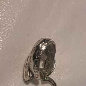Elegant Silver Hoop Earrings